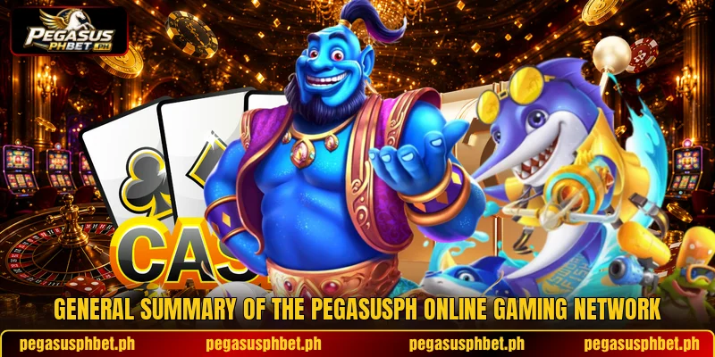 General summary of the PEGASUSPH online gaming network
