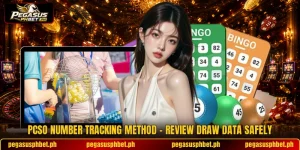 PCSO Number Tracking Method - Review Draw Data Safely